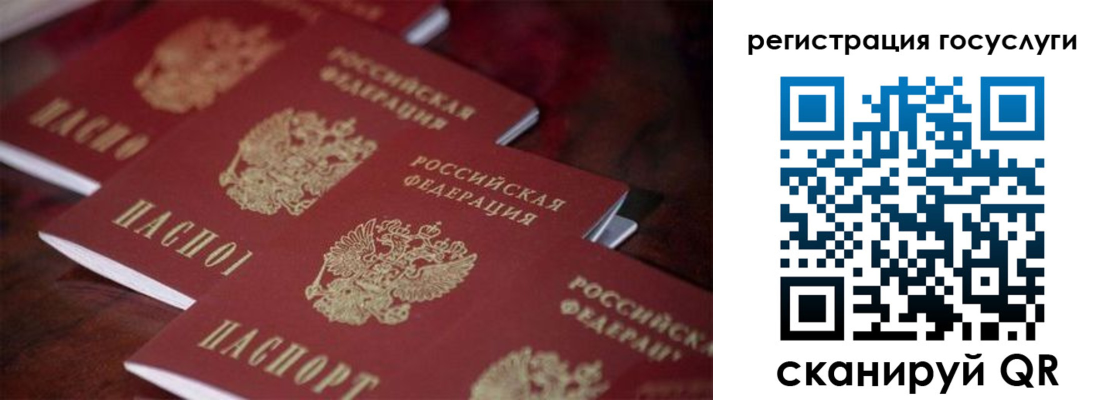 где прописаться в Бабаево
